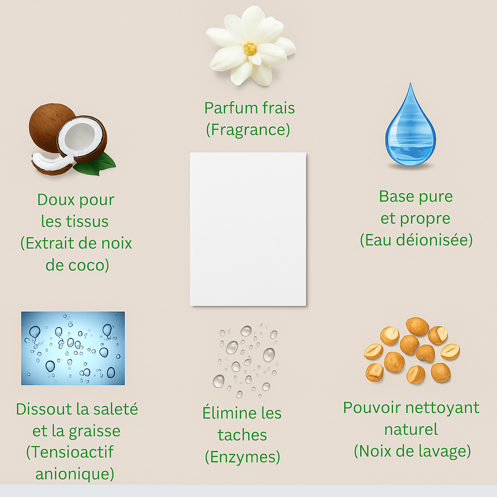 Infographic showing ingredients of Ocean Breeze laundry sheets: coconut extract, enzymes, fresh fragrance, and pure water.